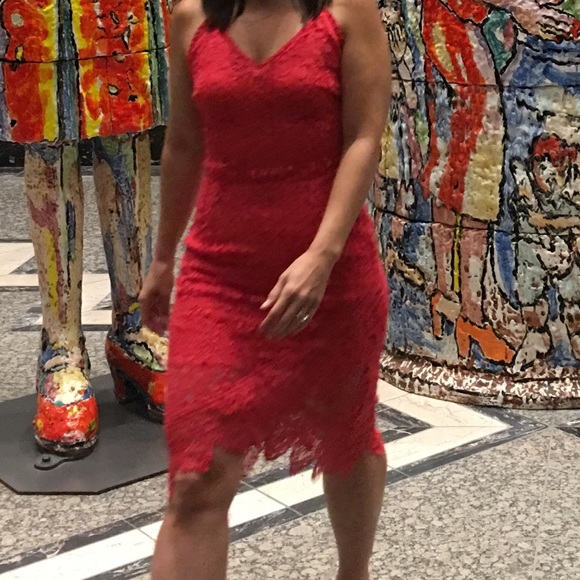 Beautiful and Classy BB Dakota RSVP Dress - Picture 7 of 7